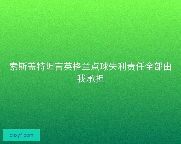 索斯盖特坦言英格兰点球失利责任全部由我承担